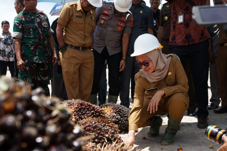 Berinvestasi Rp. 170 M, Pabrik Kelapa Sawit PT. Kasmar Matano Persada Diresmikan Bupati Indah